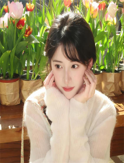 制作特辑：2026热门我家夫人是老大全面分析报告